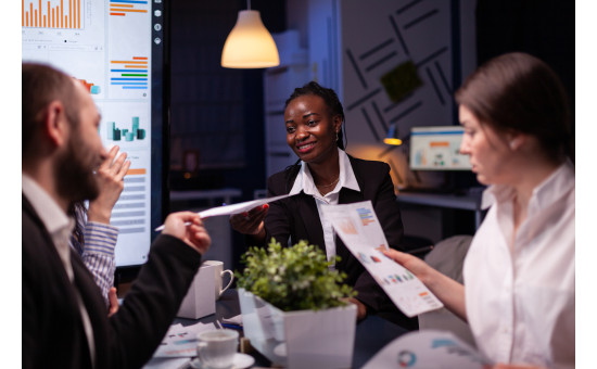 Investment Appraisal and Risk Management in Power Sector